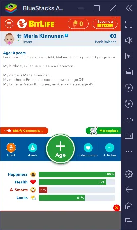 Bitlife на ПК