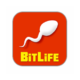 Иконка Bitlife