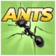 Иконка Pocket Ants