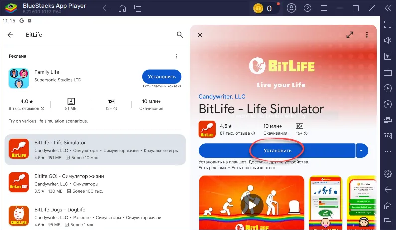 Установка Bitlife